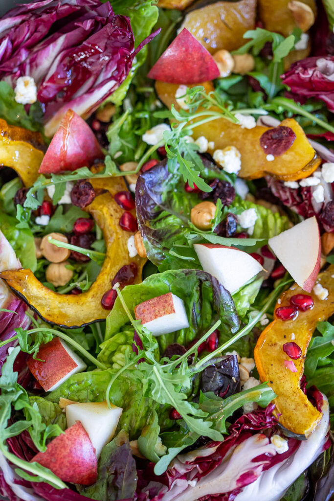 A bright Autuman Roasted Acorn Squash Salad with Maple-Spiced Vinaigrette boasting vivid colors of orange, reds and greens. 